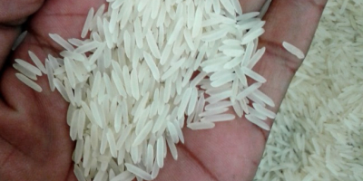 1121 Sella Basmati Arroz Premium de Grano Largo Embalaje: