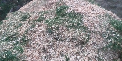 Fichas forestales para arándanos con entrega. Las astillas están