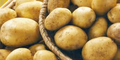 Patatas sudafricanas de producción ecológica de la variedad irlandesa.