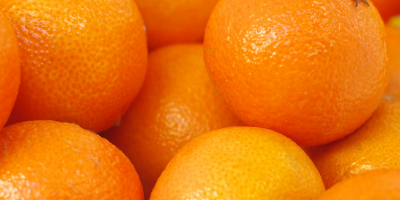 Hola, vendo naranjas de alta calidad en el mercado.