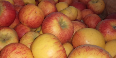 Venderé un topacio de manzana de la tienda. Guardado