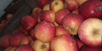 Vendo florina de manzana del almacén. Guardado en cofres;