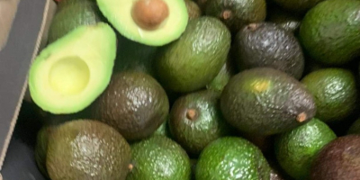 Hola, Tengo Aguacate Hass a la venta a granel.