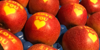 Venderé manzanas ocasionales con las palabras &quot;TE AMO&quot; en