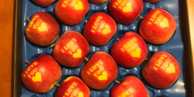 Venderé manzanas ocasionales con las palabras &quot;TE AMO&quot; en