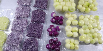 Verduras peladas y envasadas al vacío: Cebollas peladas: -