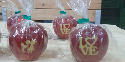 ¡Manzanas de San Valentín! Venderé manzanas ocasionales con un