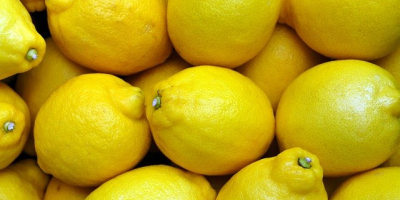 Venderé limones a granel. País de origen: España, Marruecos.