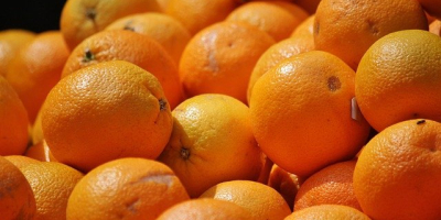 Venderé naranjas a granel. País de origen: España, Marruecos,