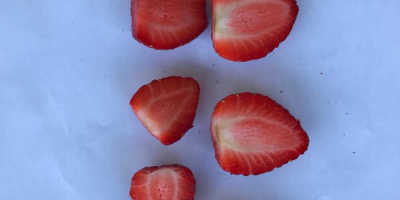 El productor egipcio de fresas congeladas venderá grandes cantidades