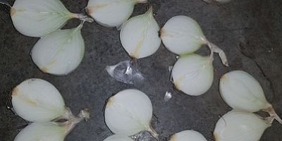 Cebolla blanca clase A Variedad: Sterling Tamaño 5-9 cm