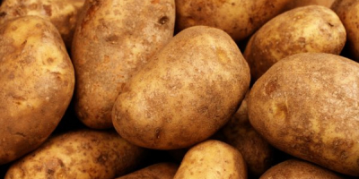 Disponemos de patatas de alta calidad (oxidadas) para el