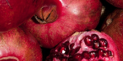 Granada fresca 100% natural de frutas rojas a la
