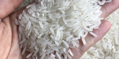 El arroz jazmín es un arroz fragante con un