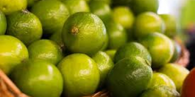 Agric Dynamics Farms предлага Grade A Lime. Ние имаме