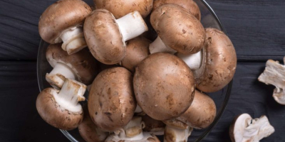 Somos proveedores de productos agrícolas como Jengibre, Ajo, Cebollas,