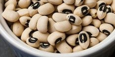 New Crop Black Eye Vigna White Beans / Cowpeas