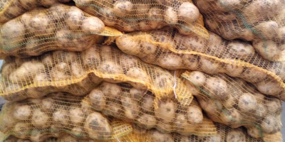 Fabricante vendemos patatas ofrecemos calidad y cantidad