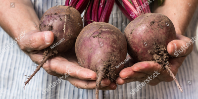 hola somos una empresa que exporta frutas y verduras,