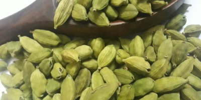 Cardamomo verde seco de alta calidad listo para exportar