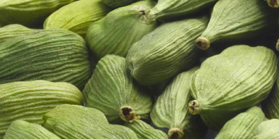 Cardamomo verde seco de alta calidad listo para exportar