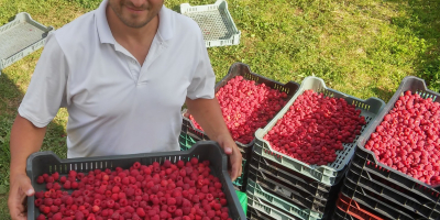 Finca ecológica certificada a partir de 6 años. Empezamos