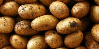 Las patatas frescas están disponibles en Nigeria y pueden