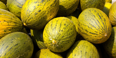 Laverida vende frutas tropicales a granel. La oferta incluye