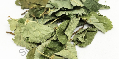 Venta de hoja de lipa (Tilia cordata folium), grandes