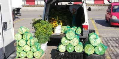 Venderé sombreros de girasol, camiones completos o directamente del