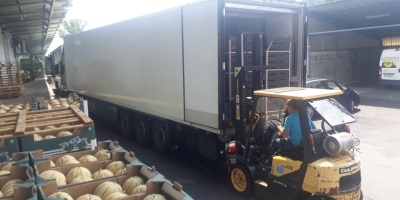 Ofrecemos paletas o camiones enteros de cerezas griegas de