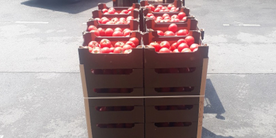 Ofrecemos paletas o camiones enteros de cerezas griegas de