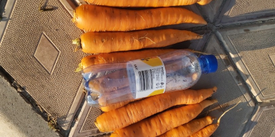 Precio: negociable en función de la cantidad deseada. Productor