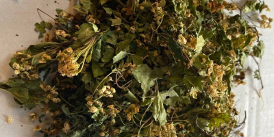 Venderé una flor con una hoja (Crataegi flos), grandes