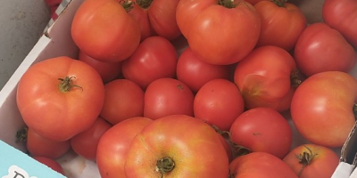 Te invito a comprar tomate molido, no rociado