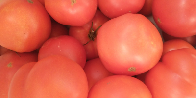 Te invito a comprar tomate molido, no rociado
