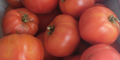 Te invito a comprar tomate molido, no rociado