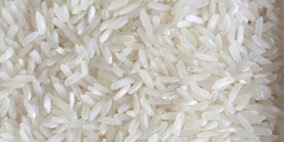 Arroz blanco de grano largo - Oryza Sativa, Calidad