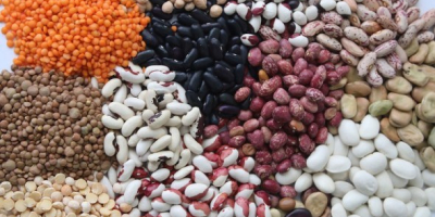 Frijoles en surtido. Más de 20 variedades Bins Naturprodukt