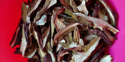 Ofrezco a la venta sombreros boletus de este año,