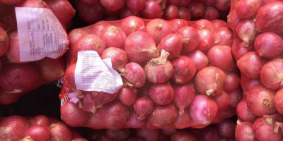 Ya sean cebollas blancas, rojas o amarillas, estas verduras