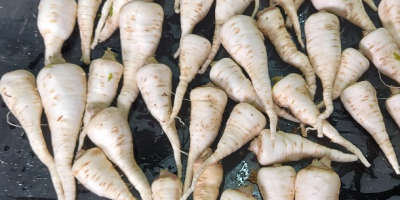 Vendo zanahorias, cebollas, remolacha, perejil y una cantidad mínima.