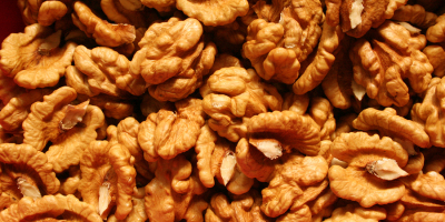 Compramos nueces (nueces) en cualquier cantidad (desde 200 kg).