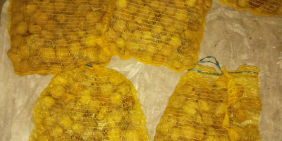 Venderé nueces Jacki, grandes, 60 kg y pequeñas, 2