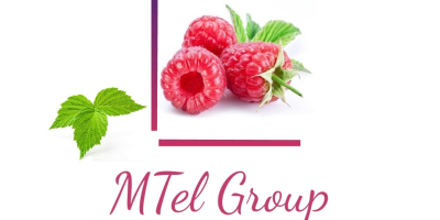 Hola, Mtel Fruit Group, un Grupo de Empresas dedicadas