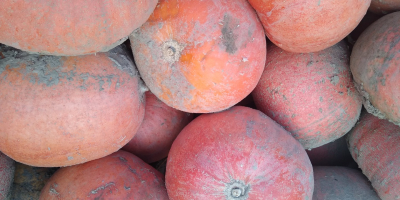 Hola, vendo una calabaza de bambú, de bonitos colores,