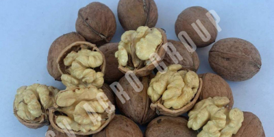 ¡Hola! Somos un exportador directo de nueces de Ucrania