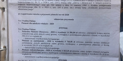 Venderé zanahorias, bonitas y saludables. PLN 0,80 kg. Grandes