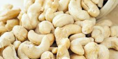 Distribuidor de procesamiento de nueces en África Oriental, exportamos