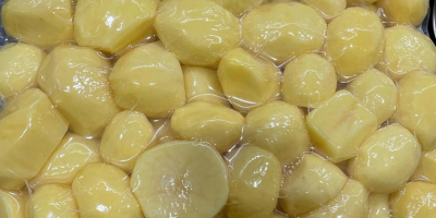 Venderemos cantidades de camiones de patatas comestibles. Variedades: Excelencia